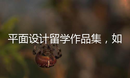平面设计留学作品集,如何制作才能打动考官?