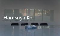 Harusnya Korsel, Jepang dan Eropa Terpancing Seperti China Tanam Duit di Sektor Otomotif Indonesia