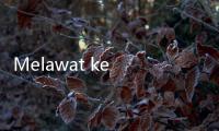 Melawat ke Rumah Kelahiran Buya Hamka di Tepi Danau Maninjau