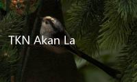 TKN Akan Laporkan Koran Achtung ke Polisi
