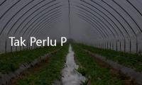 Tak Perlu Pakai Filler, 5 Cara Alami Ini Ampuh Memperbesar Payudara