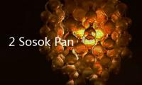 2 Sosok Panelis Debat Capres